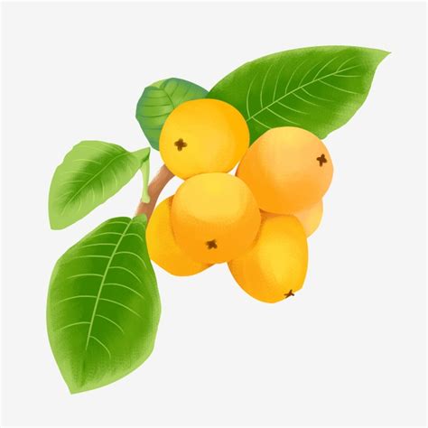 Summer Fruit Png Picture Yellow Summer Fruit Dragonfly Yellow Fruit