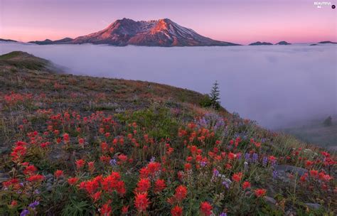 Mt St Helens Wallpapers Wallpaper Cave