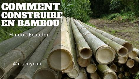 Comment Assembler Du Bambou Dans La Construction Avec Tips Au RDV