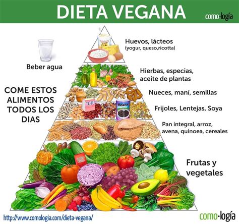 Pirámide Nutricional Vegana Dieta vegana Azeites Tofu