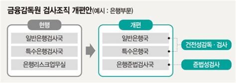 금감원 조직개편 단행 금융소비자 보호기능 대폭 강화 네이트 뉴스