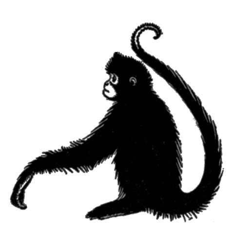 Filecom V1 D406 Spider Monkeypng Wikimedia Commons
