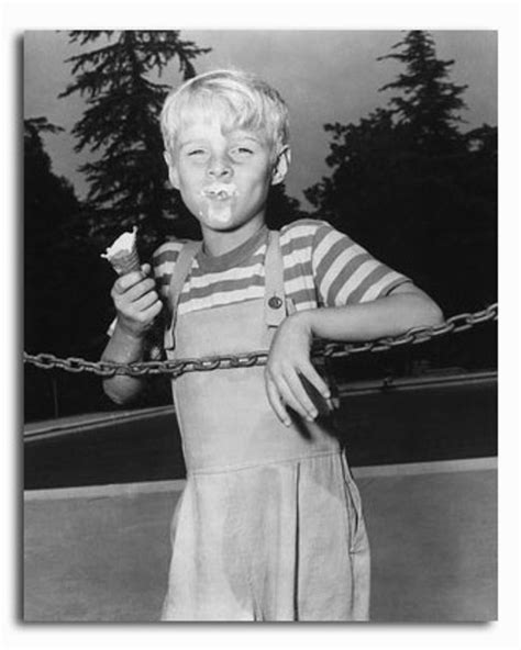 Ss2330549 Television Picture Of Dennis The Menace Buy Celebrity