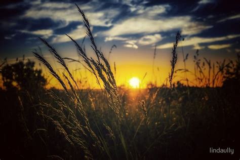 Wheatfield Sunset Photographic Print My Photographs Summer Sunset