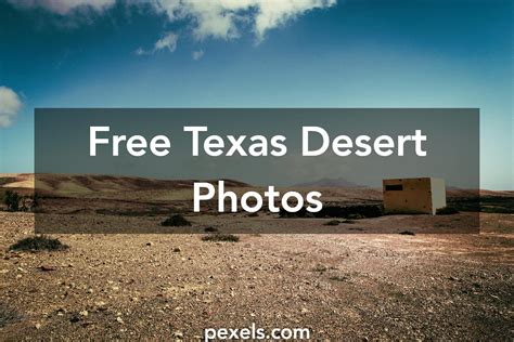 20 Amazing Texas Desert Photos · Pexels · Free Stock Photos