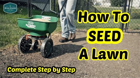 How To Seed A Lawn Complete Step By Step Guide Youtube