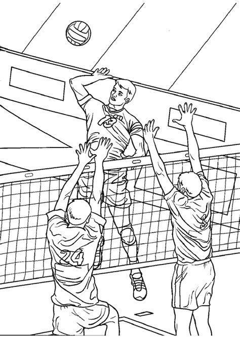 Desenho De Jogadores De Voleibol Para Colorir Tudodesenhos My Xxx Hot