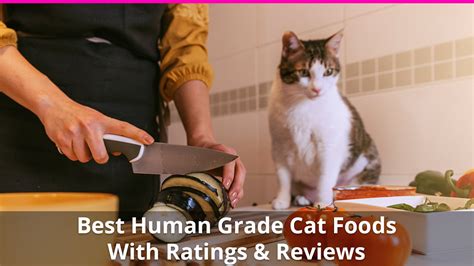 Read on to learn more! Best Human Grade Cat Food Reviews of the Top Wet and Dry ...