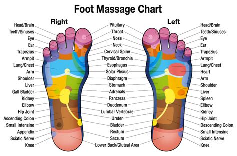 Free Downloadable Hand Massage Chart For Self Healing Herbalshop