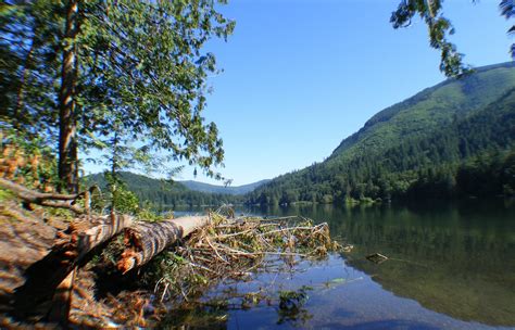 Tourisme à Silver Lake 2023 Visiter Silver Lake Etat De Washington