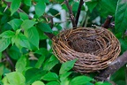 The empty nest marriage: Deciding whether to stay or go - The ...