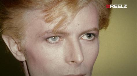 Interminable Perdón Cebra David Bowie Ojos Historia Digerir Biología