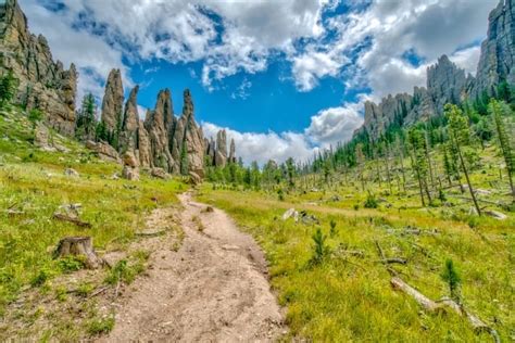 Easy Hiking Trails In The Black Hills Jury Ectiseethe