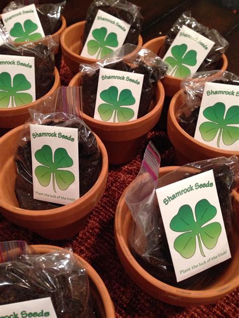 We did not find results for: Shamrock Seeds #spring #gifts #StPatricksDay | Pop bys ...