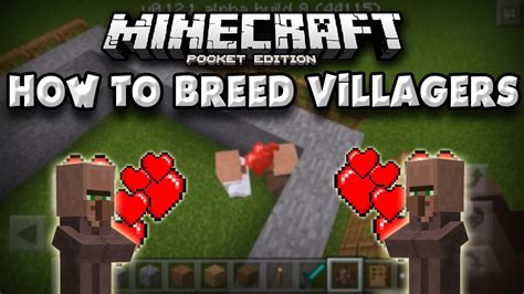 How to breed villagers in minecraft 1.16 / how to breed villagers in minecraft 1.16this is part of my minute minecraft tips series where i do. How To Breed Villagers in Minecraft PE [Pocket Edition ...