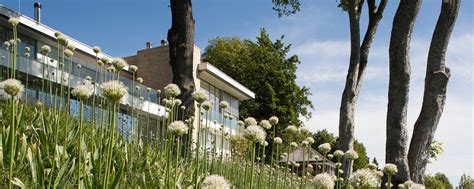 Gallery Of House S Lake Starnberg Stephan Maria Lang Architects 6