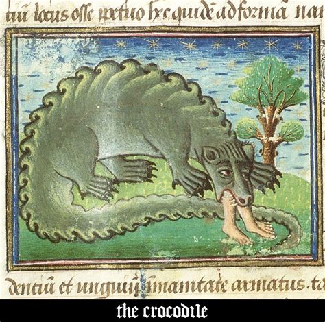 Hand drawing of two medieval steel blades on white background. Medieval Bestiary - Crocodile | Medieval art, Medieval paintings, Art