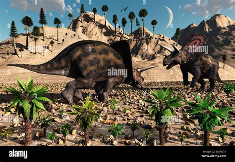 Dinosaurios Herbivoros Fotografías E Imágenes De Alta Resolución Alamy