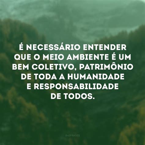 30 Frases Sobre Meio Ambiente Para Cuidar Melhor Do Nosso Planeta Meio Ambiente Redação Texto