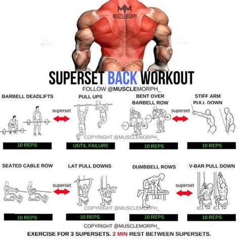 Superset Back Workout Bodybuilding Workouts Fun Workouts Back Workout