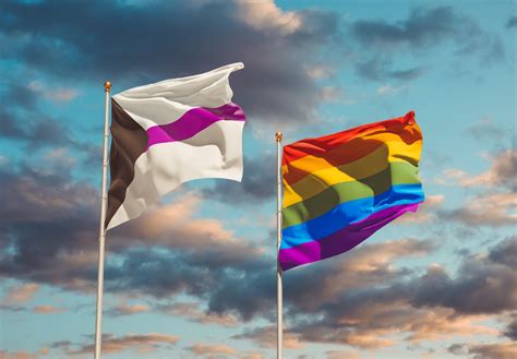 what exactly is the demisexual pride flag and what does it mean