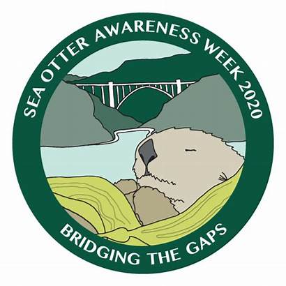 Otter Sea Week Awareness Savvy Marine Moss