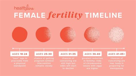 How To Optimize Ovulation Boost Fertility Increase Your Odds Of Getting