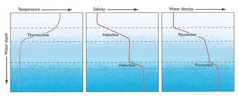 Trends In Salinity Of Ocean Water Gktoday