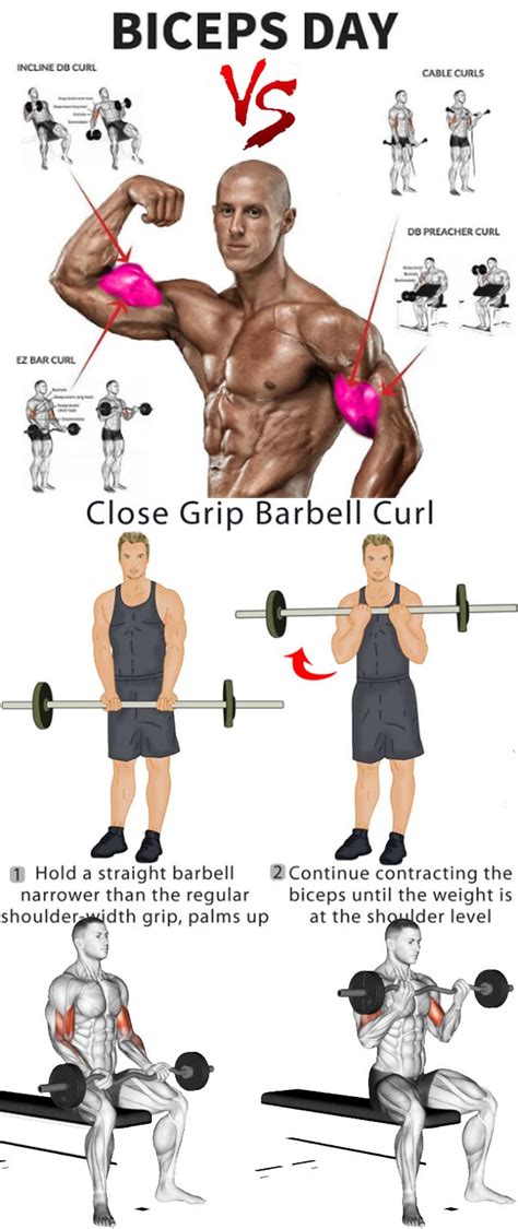 Tutorial Biceps Exercises And Tips