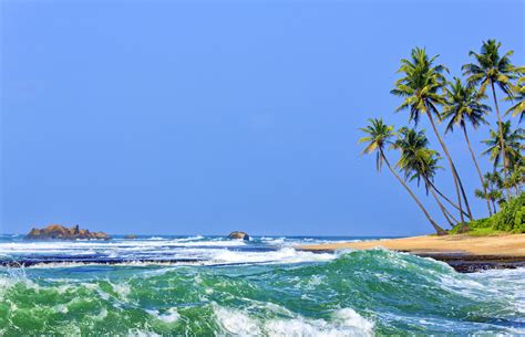 Sri Lanka Travel Guide Asia Lonely Planet