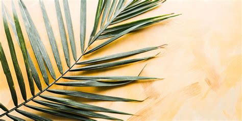 15 Palm Sunday Scripture Verses Easter Quotes From The Bible