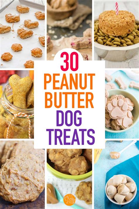 30 Easy Peanut Butter Dog Treat Recipes Your Pup Will Love Sunny Day