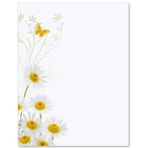 White Daisies Border Papers Borders For Paper Daisy Paper Background