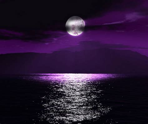 Purple Night Wallpaper By Uncutrivest 0d Free On Zedge™