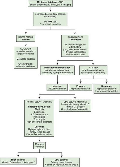 Chapter 22 Treatment Of Hypoparathyroidism Veterian Key