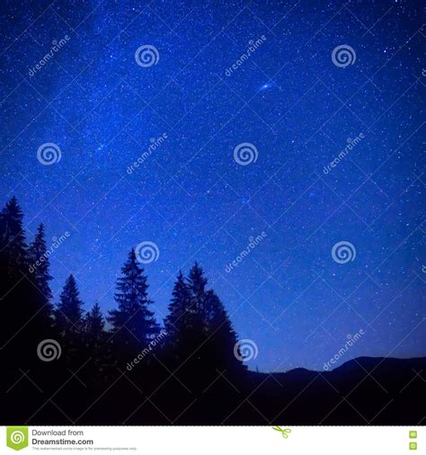 Dark Blue Night Sky Above The Mystery Forest Stock Image Image Of