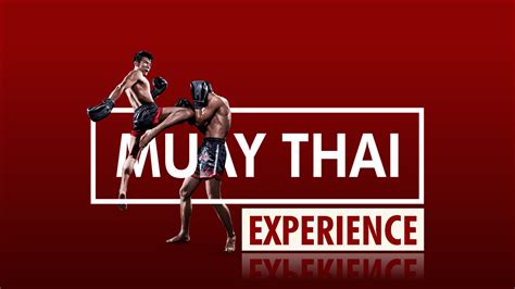 Muay Thai Experience Vexplore Tours