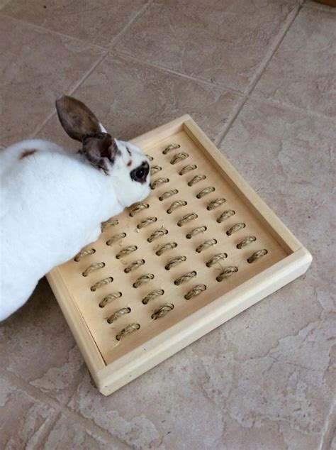 Bunny Rabbit Sisal Digging Box Etsy Diy Bunny Toys Bunny Cages