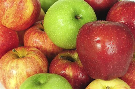 Common Types Of Apple How To Identify Apple Tree Varieties