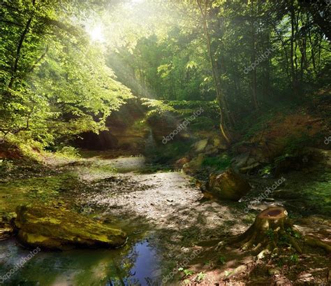 Fairy Tale Forest — Stock Photo © Krivosheevv 32546505