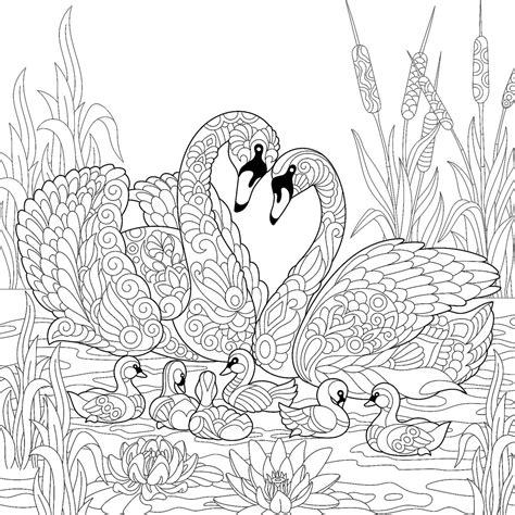 Animal Families Coloring Pages Free And Fun Printable Coloring Pages Of