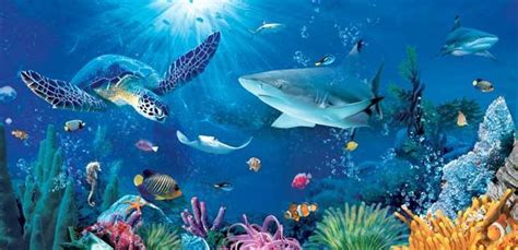 Under Ocean Images Saferbrowser Yahoo Image Search Results Ocean