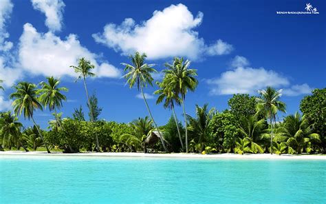 Tropical Beach Wallpaper Alees Blog