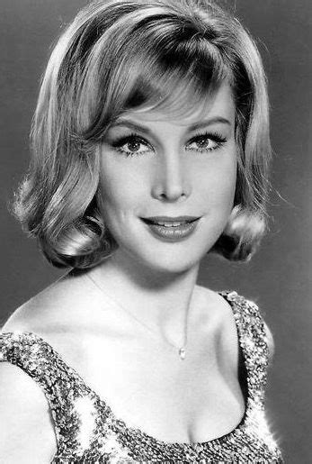 Pin By Dave Canistro On Actors Barbara Eden Vintage Hollywood Stars