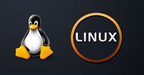 Las 5 Distros De Linux Más Curiosas