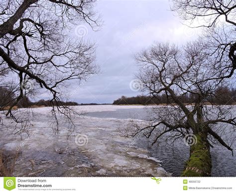Lithuanian Landscape In Winter Stock Photo Image Of Nemunas Sunny
