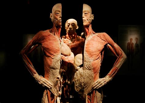 The human body is the structure of a human being. A Doctor Explores the Surprising Geography of The Human Body