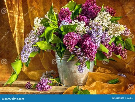 Still Life Bouquet Lilacs Stock Image Image Of Nature 59122871