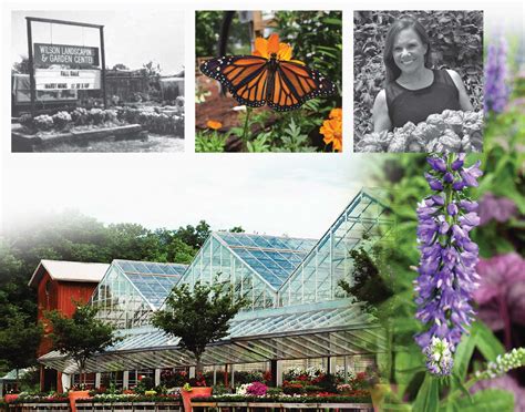 View detailed trail descriptions, trail maps, reviews, photos, trail itineraries, directions and more on traillink. 41st Anniversary: Wilson Nurseries & Plant Co. | Edible ...