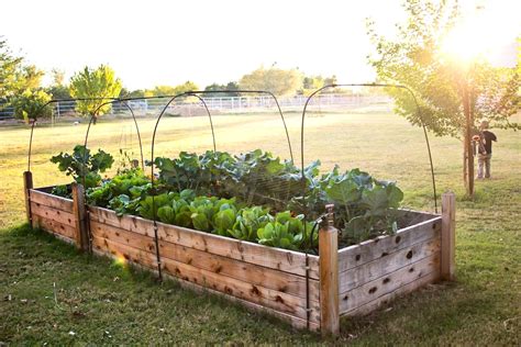 12 creative raised garden designs to try vegetable raised garden bed gardening raised garden